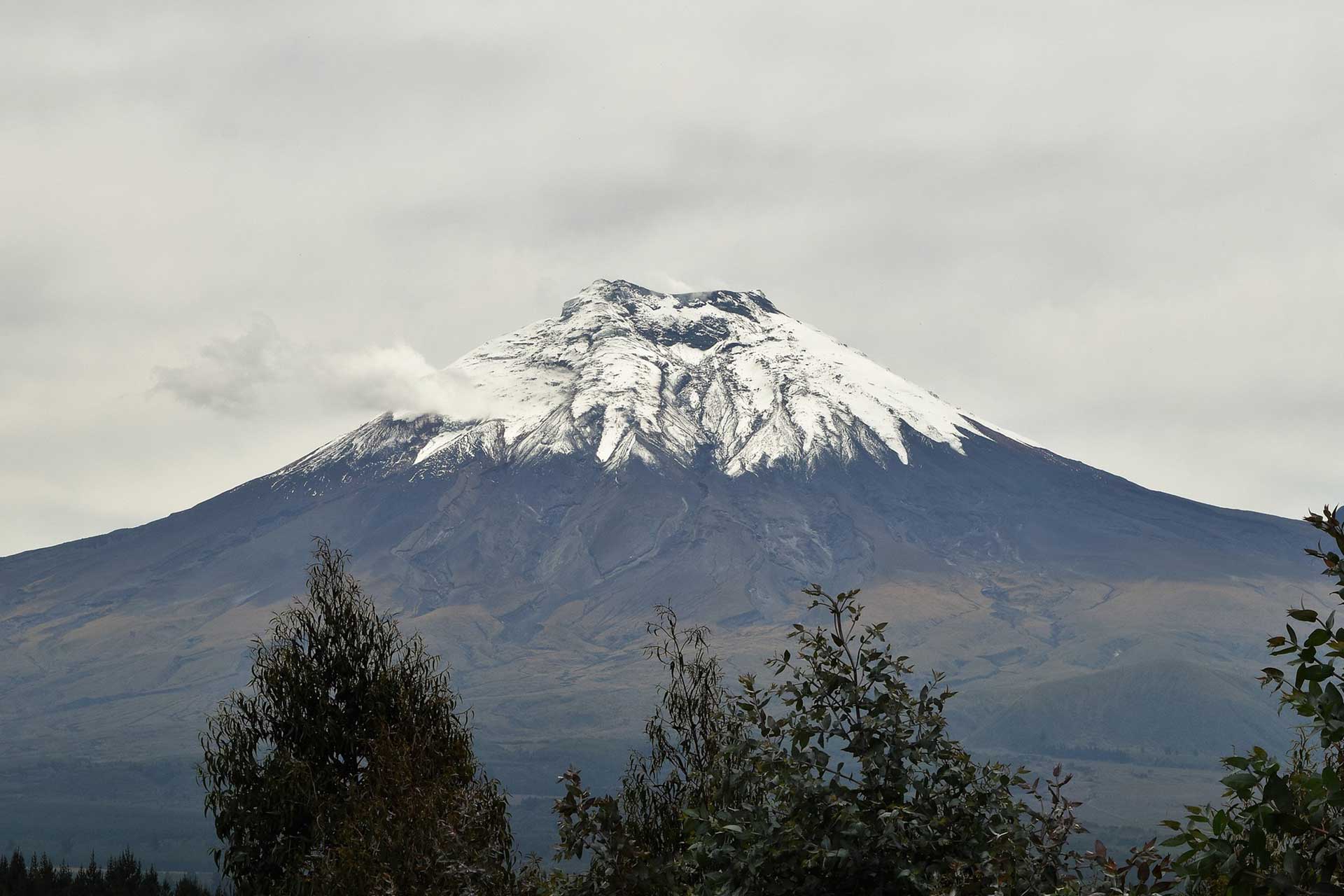 Ecuador Ice Hockey Experience
