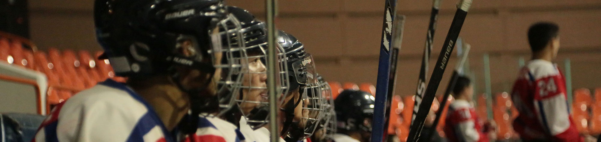 Pyongyang Ice Hockey Experience (PIHE)